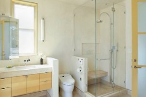 Giới thiệu Cabin tắm